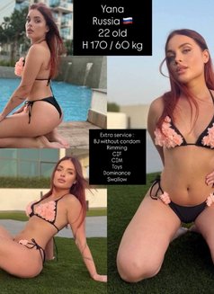+20 VIP young fresh girls - puta in Dubai Photo 6 of 26