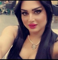 رهف22 - Transsexual escort in Erbil