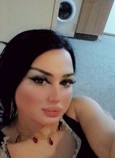 رهف22 - Transsexual escort in Erbil Photo 2 of 10