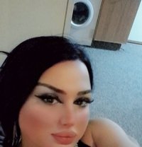رهف22 - Transsexual escort in Erbil