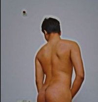 25 Year Old Young Bull - Acompañantes masculino in Colombo