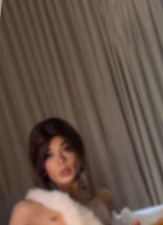 25cmمحنة وزبي كبير - Transsexual escort agency in İstanbul Photo 12 of 19