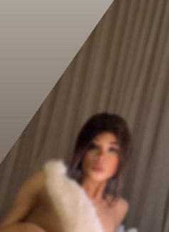 25cmمحنة وزبي كبير - Transsexual escort agency in İstanbul Photo 13 of 19