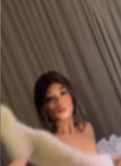 25cmمحنة وزبي كبير - Transsexual escort agency in İstanbul Photo 14 of 19