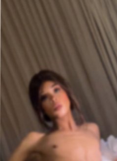 25cmمحنة وزبي كبير - Transsexual escort agency in İstanbul Photo 15 of 19