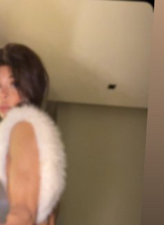 25cmمحنة وزبي كبير - Transsexual escort agency in İstanbul Photo 17 of 19