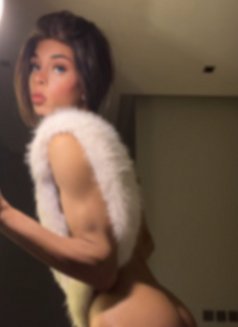 25cmمحنة وزبي كبير - Transsexual escort agency in İstanbul Photo 18 of 19