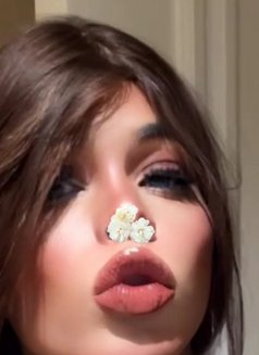 25cm مغربي وزبي كبير - Male escort in Riyadh Photo 12 of 12
