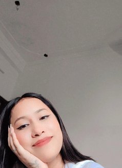 3* 4* 5* Star Luxury Hotels Delhi 24x7 - escort in New Delhi Photo 3 of 8