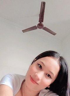 3* 4* 5* Star Luxury Hotels Delhi 24x7 - escort in New Delhi Photo 4 of 8