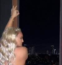 paradise 🇹🇷 - Transsexual escort in Kuwait