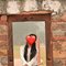 5 Hot Nepali Girl Available - escort in Noida Photo 2 of 2
