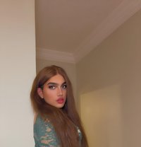 عنودي ز ب اكبر في الخليج - Acompañantes transexual in Jeddah Photo 5 of 7