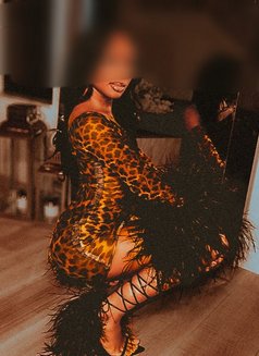 3some bunnies, mistress & a dome OMR - escort in Chennai Photo 4 of 10