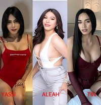 3SOME/GANGBANG- SEX VIDEOS & CAMSHOW - Acompañantes transexual in Bangkok