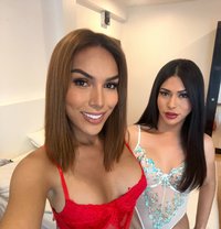 3SOME- ORGY GANGBANG/ WEBCAM-VIDEOS - Transsexual escort in Bangkok