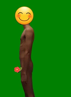 Amir, Male escort, circumsised - Male escort in New Delhi Photo 1 of 3