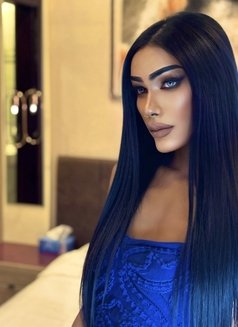 Kylie 🇹🇭 Bigdick top both bottom 69 - Transsexual escort in Al Manama Photo 6 of 13