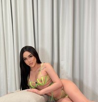 6 inch both rim slave - Acompañantes transexual in Riyadh