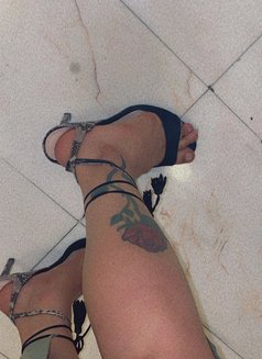 شيميل 69 - Transsexual escort in Al Manama Photo 6 of 11