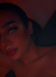شيميل 69 - Acompañantes transexual in Al Manama Photo 11 of 16