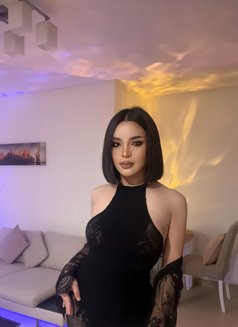 69VVIP,both,TOP,bottom - Transsexual escort in Al Manama Photo 28 of 29