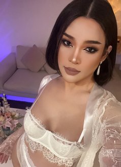69VVIP,both,TOP,bottom - Transsexual escort in Al Manama Photo 4 of 28
