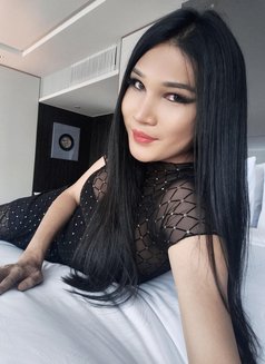 6Ft3 Tall Asian 🇹🇭Ladyboy Big Cock - Transsexual escort in Bangkok Photo 17 of 18
