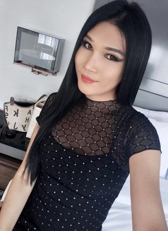 6Ft3 Tall Asian 🇹🇭Ladyboy Big Cock - Transsexual escort in Bangkok Photo 18 of 18