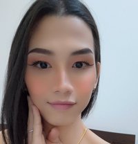 🇹🇭7 big ,hard dick & cum a lot - Acompañantes transexual in Doha