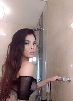 7 Inch Tool Is for You - Acompañantes transexual in Kuala Lumpur Photo 26 of 29