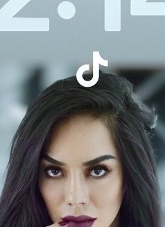 7inches Dick Cum Alot fucklady - Acompañantes transexual in Bangkok Photo 29 of 29