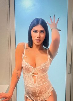Big top into amazing & spankable bottom - Transsexual escort in Bangkok Photo 12 of 12