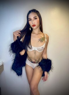 7inches Just Arrived - Transsexual escort in Bangkok Photo 11 of 22