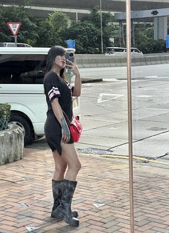 7xaday Cum Shemale Ladyboy - Transsexual escort in Hong Kong Photo 2 of 14