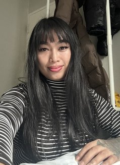 7xaday Cum Shemale Ladyboy - Transsexual escort in Hong Kong Photo 13 of 14