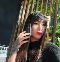 7xAday CUM TS Ladyboy - Transsexual escort in Hong Kong