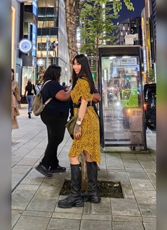 7xAday CUM TS Ladyboy Shemale - Transsexual escort in Seoul Photo 3 of 15