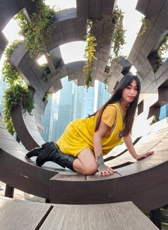 7xAday CUM TS Ladyboy Shemale - Transsexual escort in Seoul Photo 7 of 15