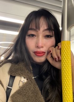 7xAday CUM TS Ladyboy Shemale - Transsexual escort in Tokyo Photo 26 of 28