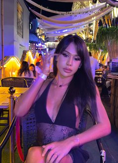 8 inch Thai Top Thick Full Load - Transsexual escort in Bangkok Photo 22 of 24