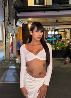 8 inch Thai Ts Top Thick Full Load - Transsexual escort in Bangkok Photo 20 of 26