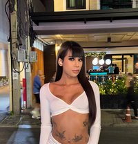 8 inch Thai Ts Top Thick Full Load - Transsexual escort in Bangkok Photo 5 of 23