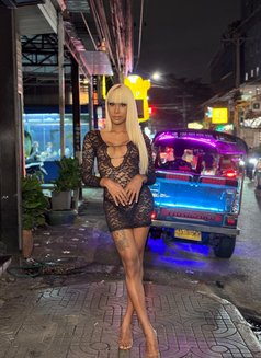 8 inch Thai Ts Top Thick Full Load - Transsexual escort in Bangkok Photo 21 of 26