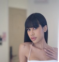 8 inch Thai Ts Top Thick Full Load - Transsexual escort in Bangkok Photo 20 of 27