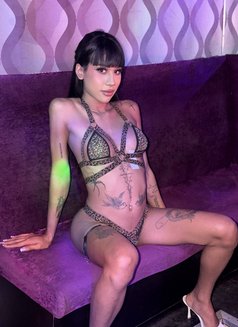 8 inch Thai Ts Top Thick Full Load - Transsexual escort in Bangkok Photo 22 of 23