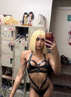 8 inch Thai Ts Top Thick Full Load - Transsexual escort in Bangkok Photo 23 of 23