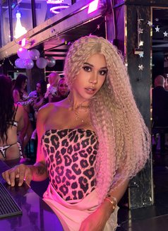 8 inch Thai Ts Top Thick Full Load - Transsexual escort in Bangkok Photo 25 of 25