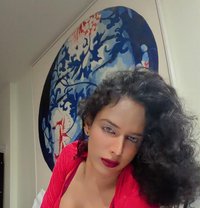 8 Inches Cock - Acompañantes transexual in Chennai
