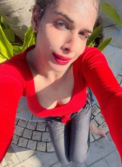 8 Inches Cock - Transsexual escort in Chennai Photo 15 of 16